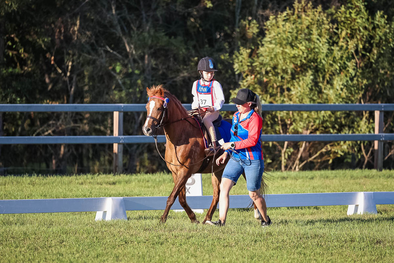 JPC Feb 2026 Dressage-7721.jpg