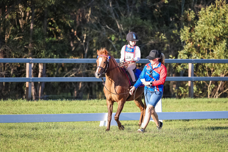 JPC Feb 2026 Dressage-7722.jpg