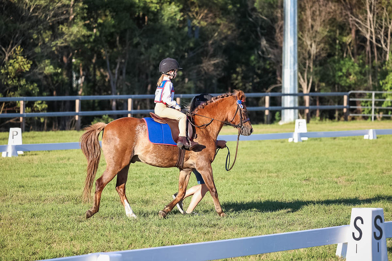 JPC Feb 2026 Dressage-7724.jpg