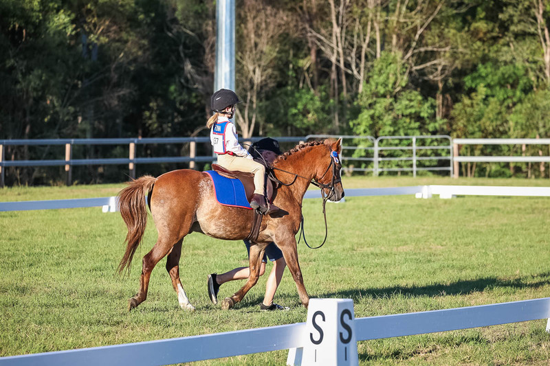 JPC Feb 2026 Dressage-7725.jpg