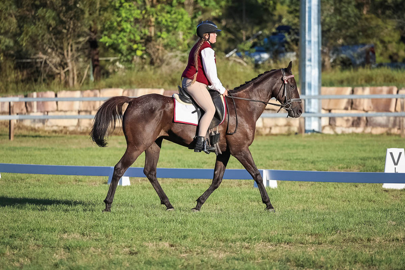 JPC Feb 2026 Dressage-7726.jpg