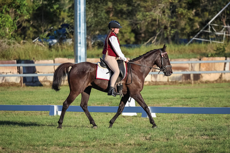 JPC Feb 2026 Dressage-7727.jpg