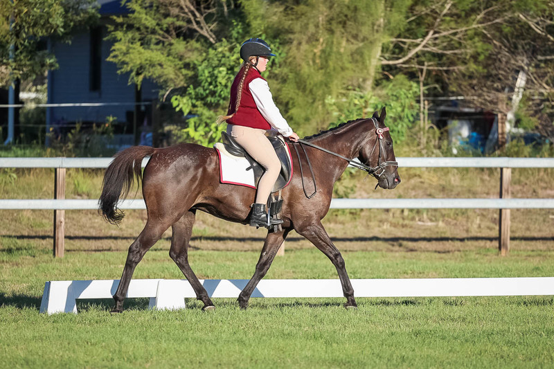 JPC Feb 2026 Dressage-7728.jpg