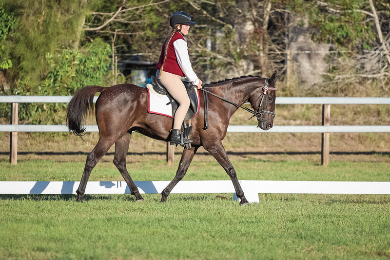 JPC Feb 2026 Dressage-7729.jpg