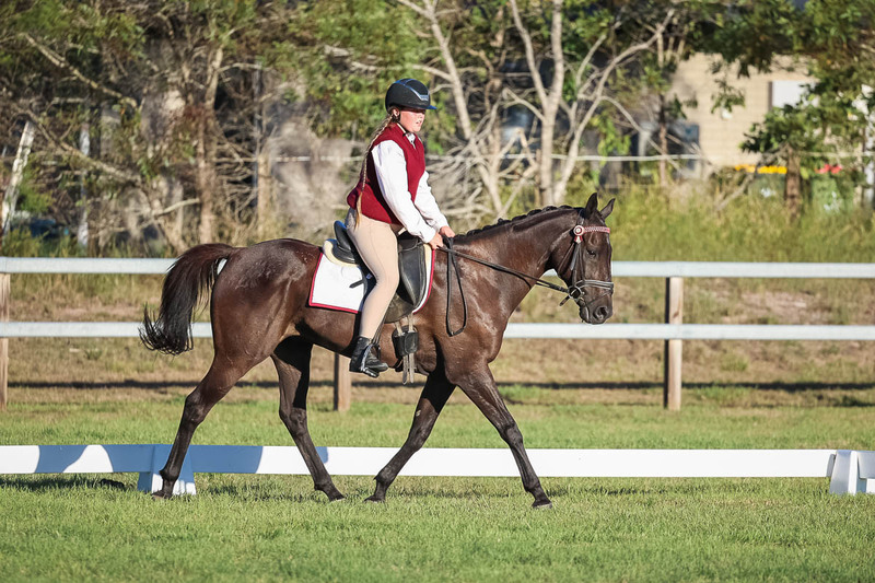 JPC Feb 2026 Dressage-7730.jpg