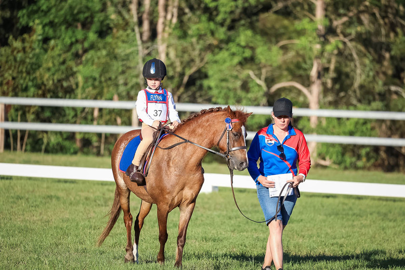 JPC Feb 2026 Dressage-7731.jpg