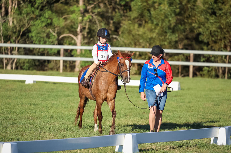 JPC Feb 2026 Dressage-7732.jpg