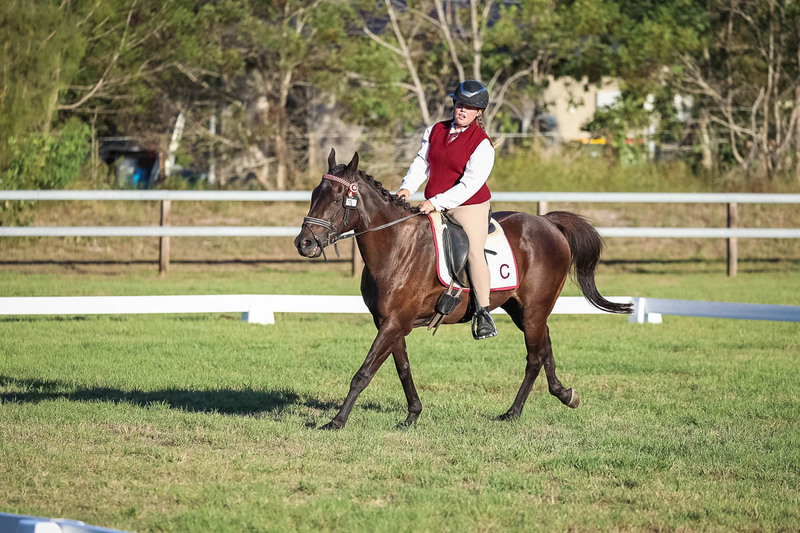 JPC Feb 2026 Dressage-7733.jpg