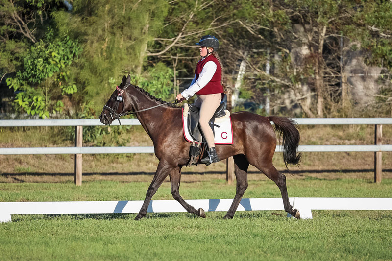 JPC Feb 2026 Dressage-7734.jpg