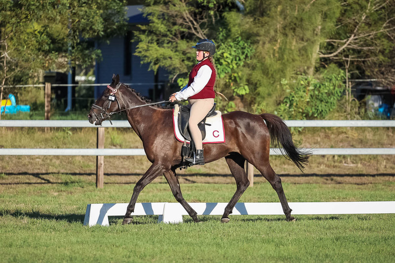 JPC Feb 2026 Dressage-7735.jpg