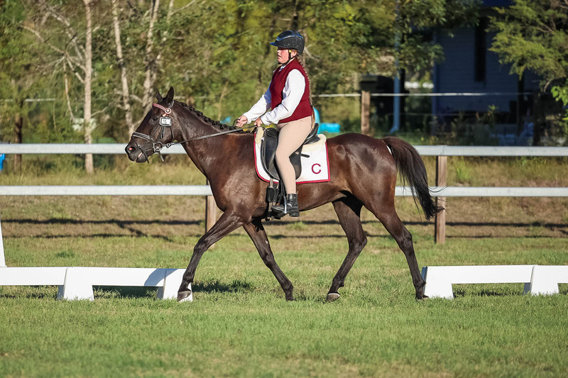 JPC Feb 2026 Dressage-7736.jpg