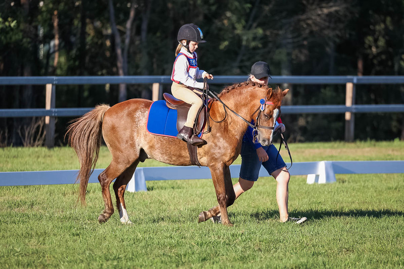 JPC Feb 2026 Dressage-7738.jpg