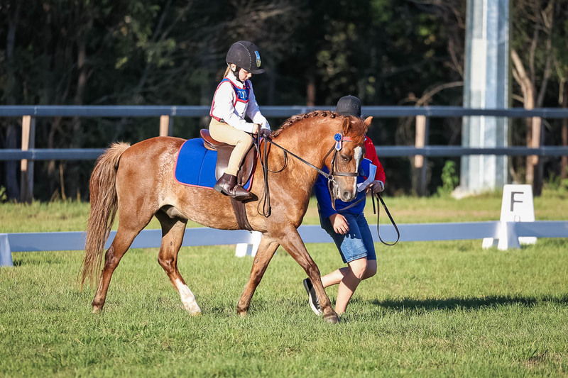 JPC Feb 2026 Dressage-7739.jpg