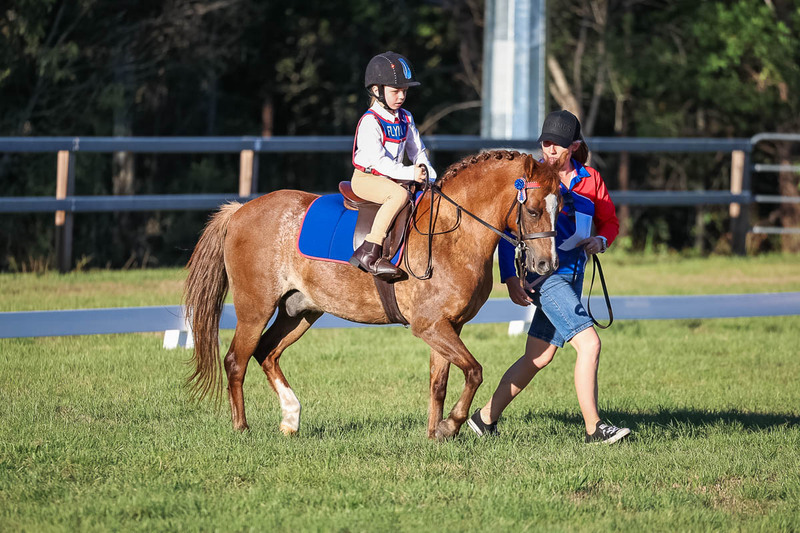 JPC Feb 2026 Dressage-7740.jpg
