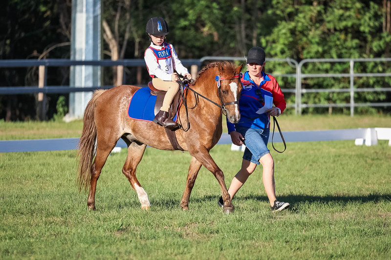 JPC Feb 2026 Dressage-7741.jpg