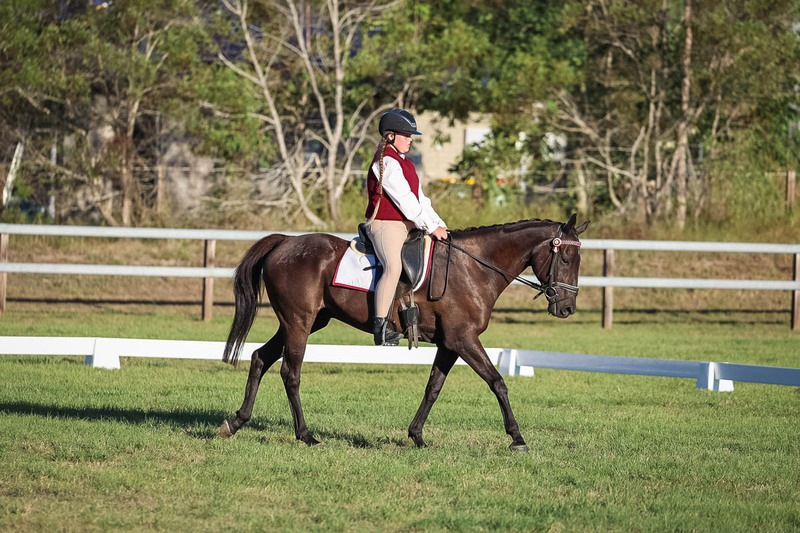 JPC Feb 2026 Dressage-7743.jpg