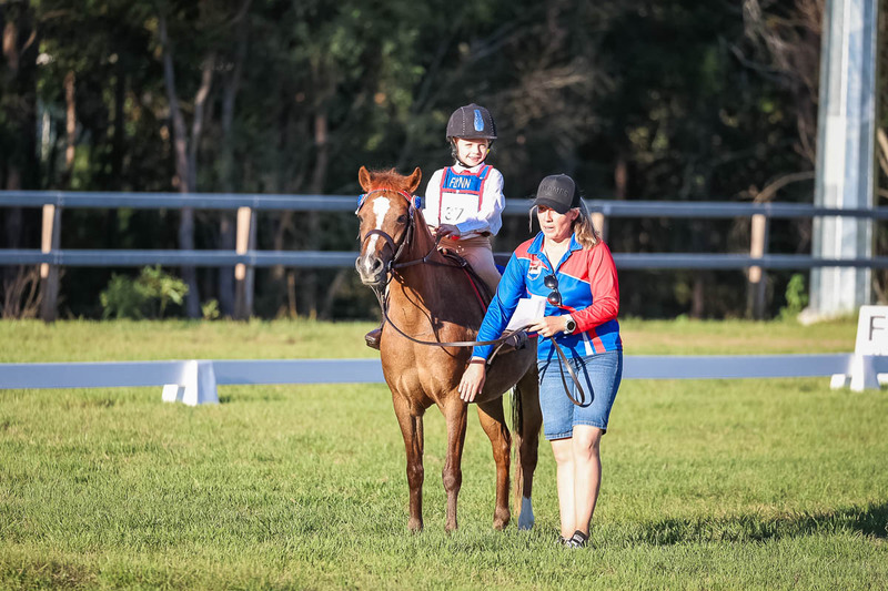 JPC Feb 2026 Dressage-7746.jpg