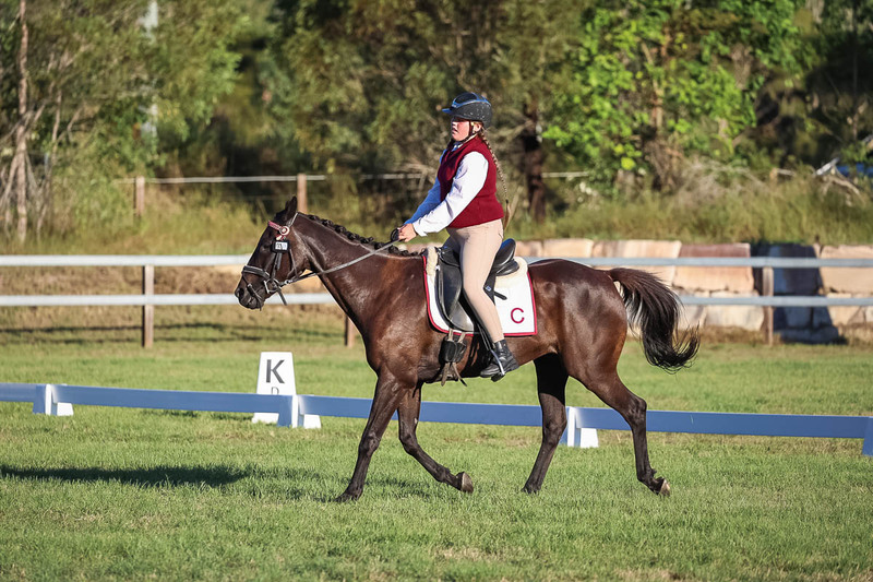 JPC Feb 2026 Dressage-7748.jpg