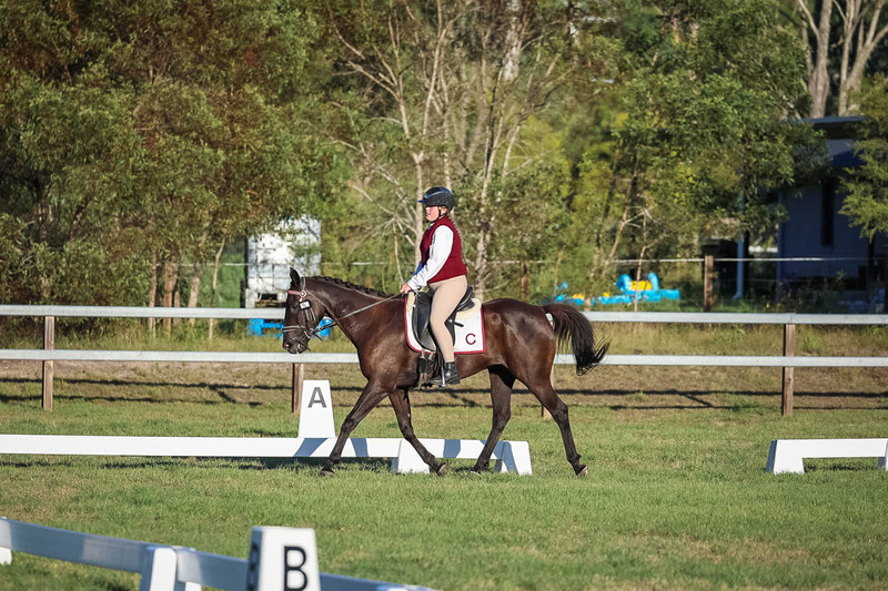 JPC Feb 2026 Dressage-7750.jpg