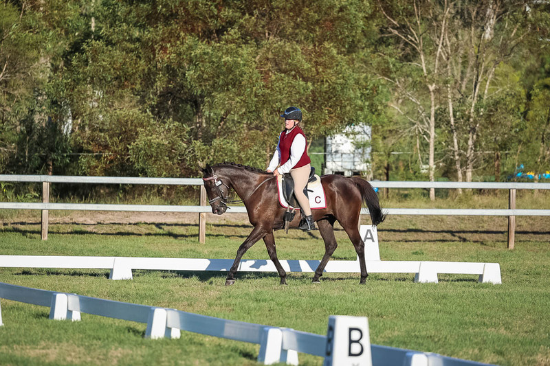 JPC Feb 2026 Dressage-7751.jpg