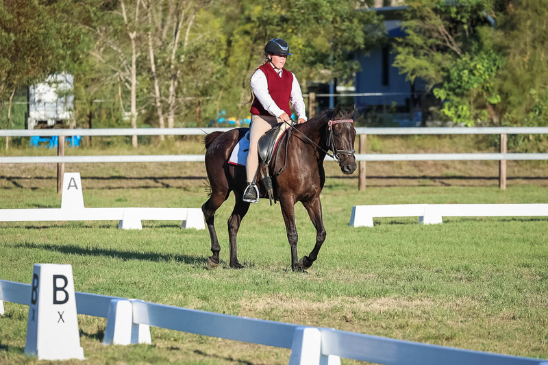 JPC Feb 2026 Dressage-7752.jpg