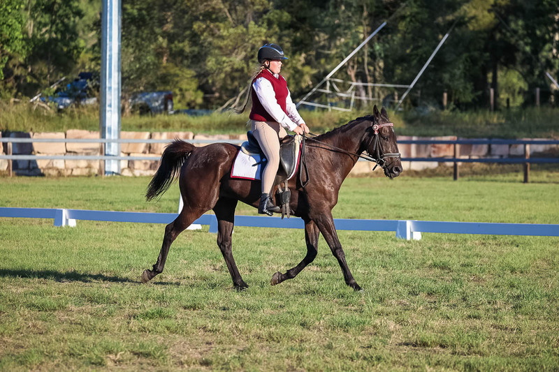 JPC Feb 2026 Dressage-7755.jpg