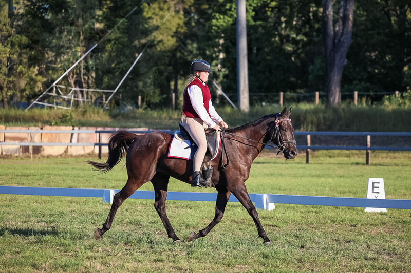 JPC Feb 2026 Dressage-7756.jpg