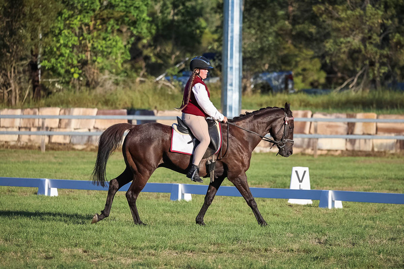 JPC Feb 2026 Dressage-7758.jpg