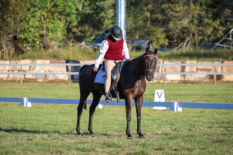 JPC Feb 2026 Dressage-7760.jpg