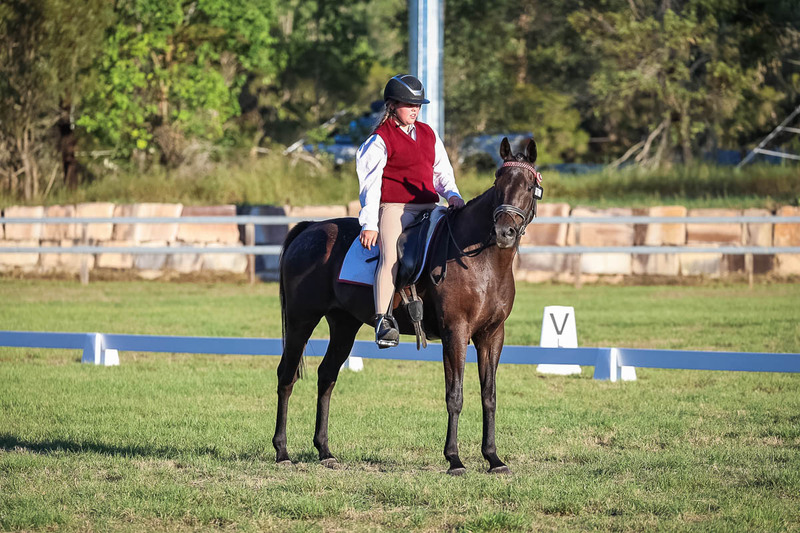 JPC Feb 2026 Dressage-7761.jpg