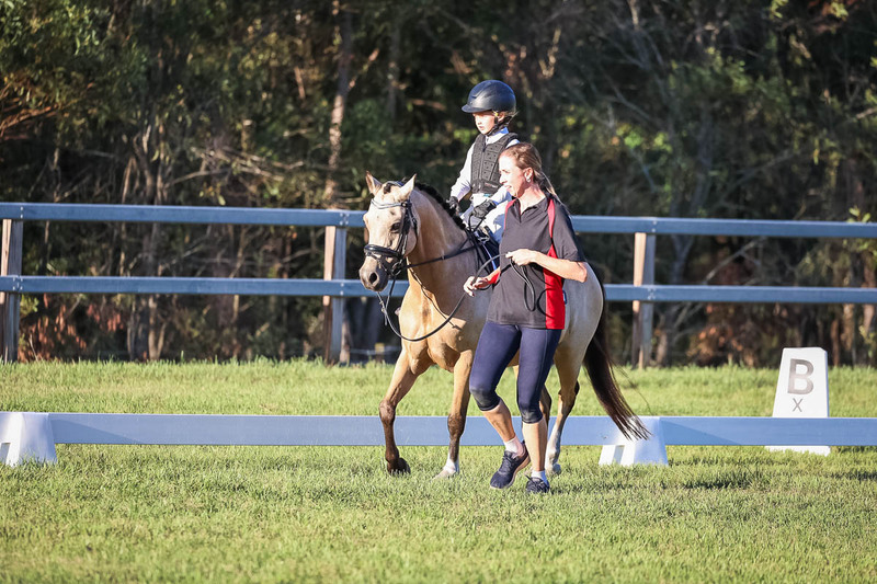 JPC Feb 2026 Dressage-7763.jpg