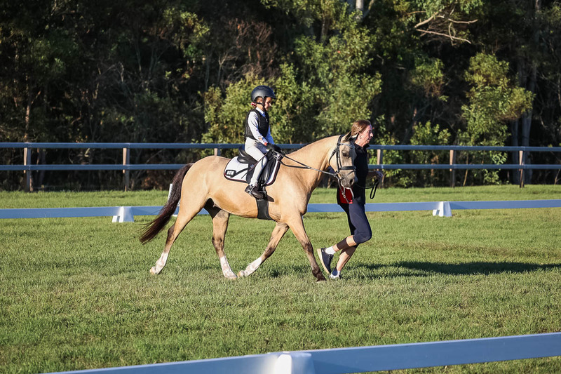 JPC Feb 2026 Dressage-7765.jpg