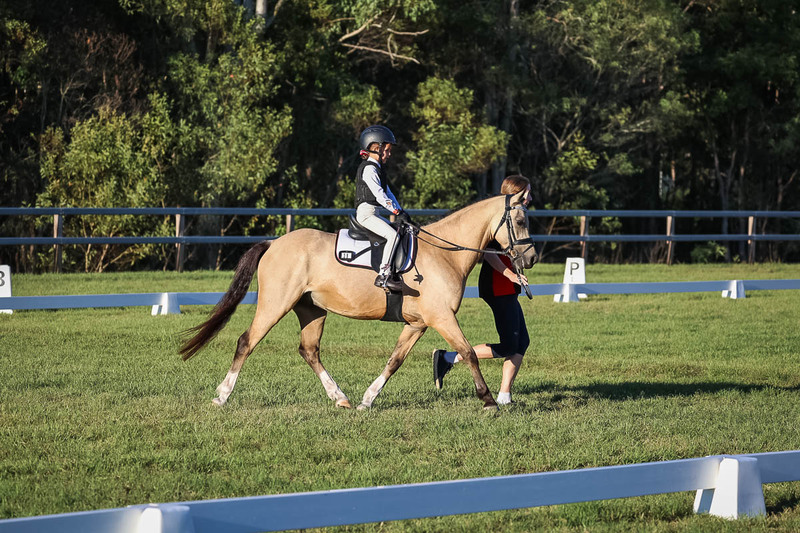 JPC Feb 2026 Dressage-7766.jpg