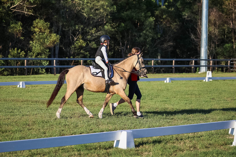 JPC Feb 2026 Dressage-7767.jpg