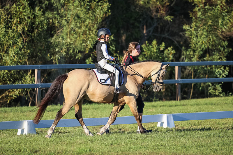 JPC Feb 2026 Dressage-7772.jpg