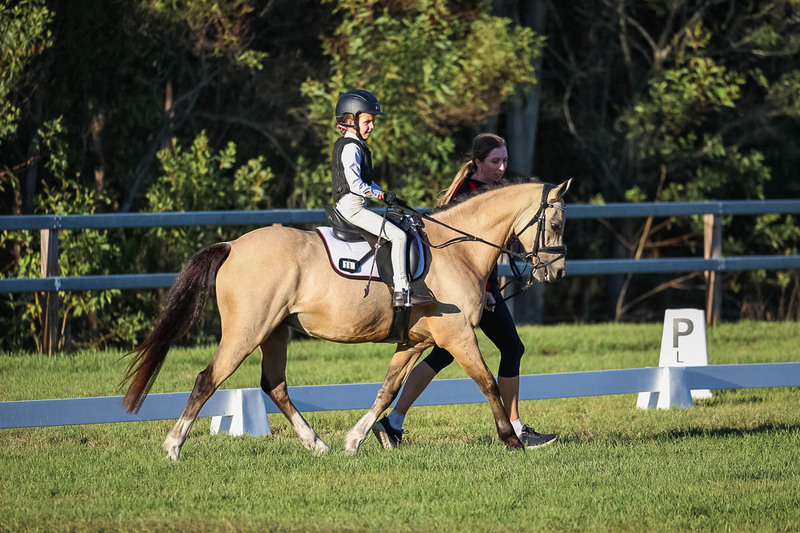 JPC Feb 2026 Dressage-7773.jpg