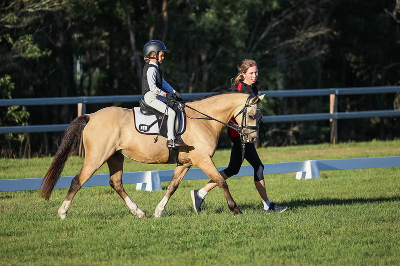 JPC Feb 2026 Dressage-7775.jpg