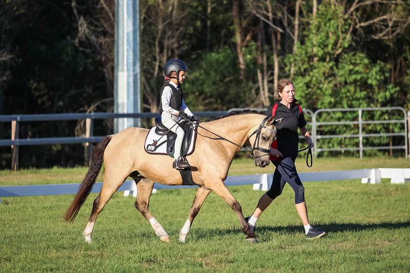 JPC Feb 2026 Dressage-7777.jpg
