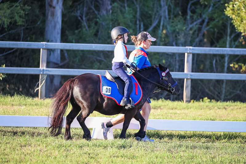 JPC Feb 2026 Dressage-7788.jpg