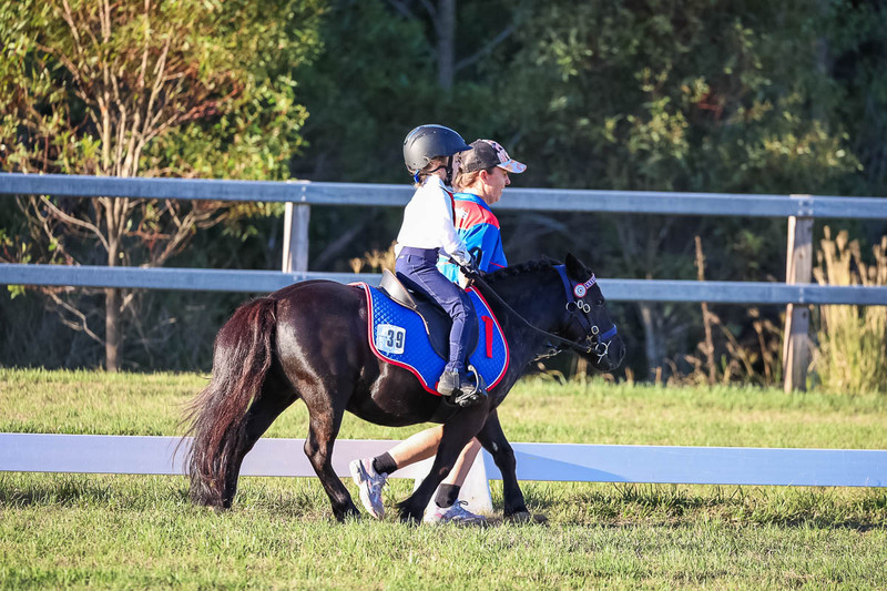 JPC Feb 2026 Dressage-7789.jpg