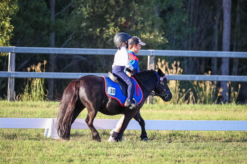 JPC Feb 2026 Dressage-7790.jpg