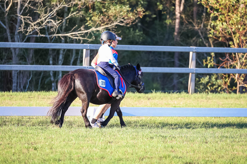 JPC Feb 2026 Dressage-7794.jpg