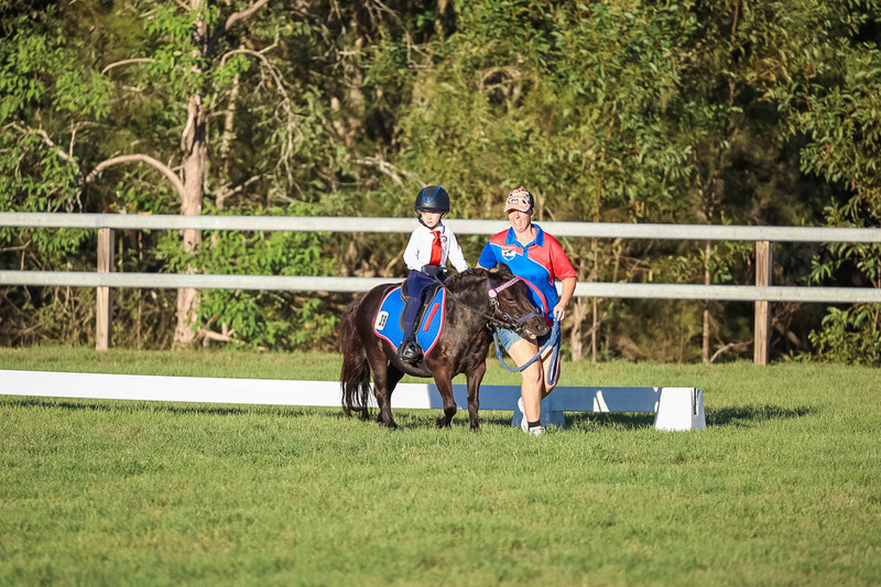 JPC Feb 2026 Dressage-7798.jpg
