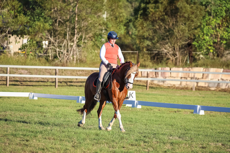 JPC Feb 2026 Dressage-7803.jpg