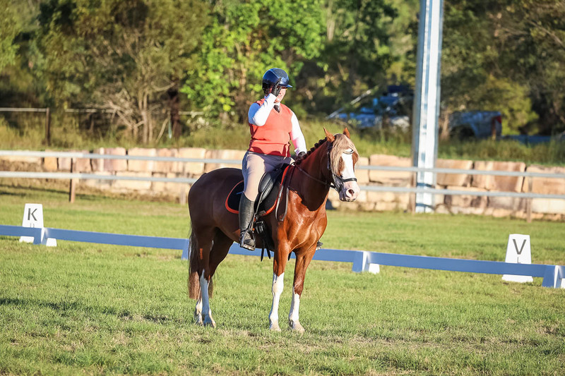 JPC Feb 2026 Dressage-7804.jpg