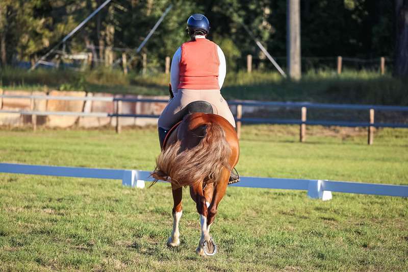 JPC Feb 2026 Dressage-7805.jpg