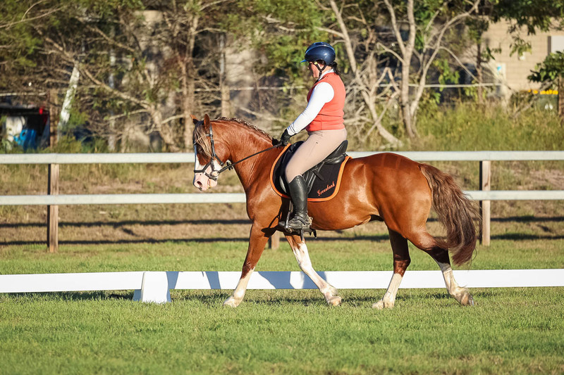 JPC Feb 2026 Dressage-7806.jpg