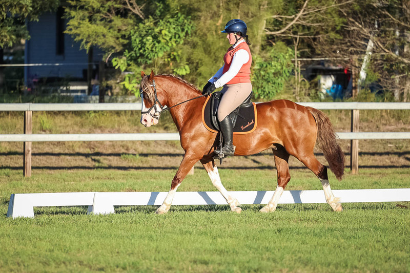 JPC Feb 2026 Dressage-7808.jpg