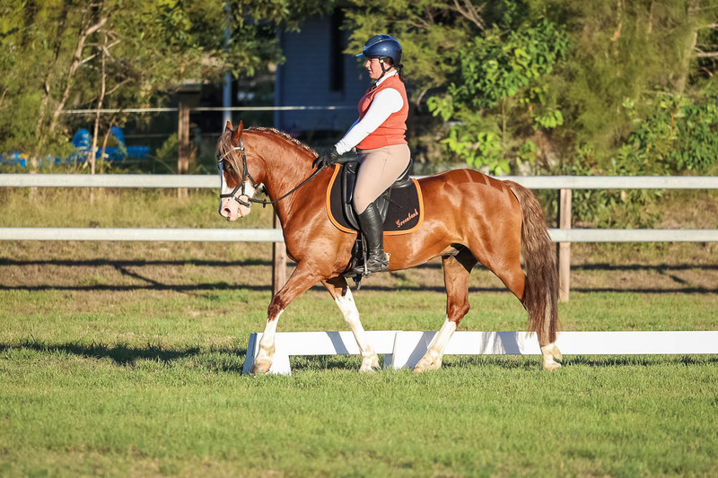 JPC Feb 2026 Dressage-7809.jpg