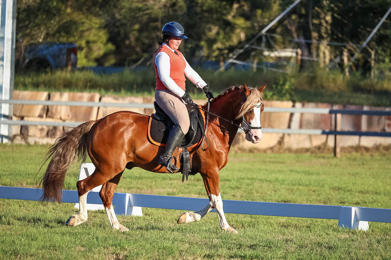 JPC Feb 2026 Dressage-7810.jpg